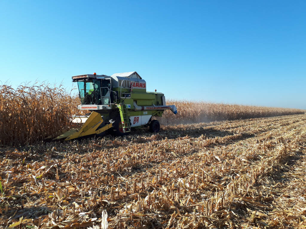 kombajn, kukurydza, Skrzelew