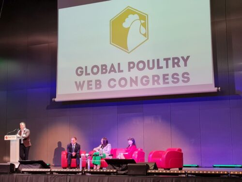 Global Poultry Web Congress, branża drobiarska, żywienie drobiu, grypa ptaków
