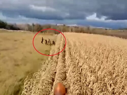 imigranci w kukurydzy, powiat siemiatycki, stan wyjątkowy