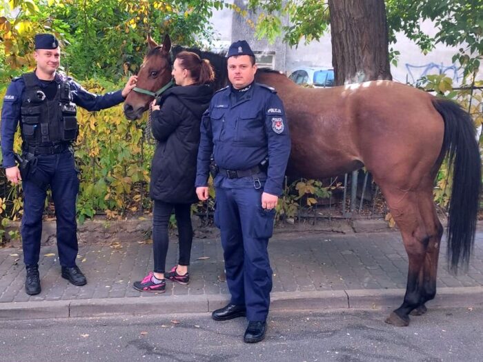 koń w centrum Lublina, KMP Lublin, Kamil Gołębiowski