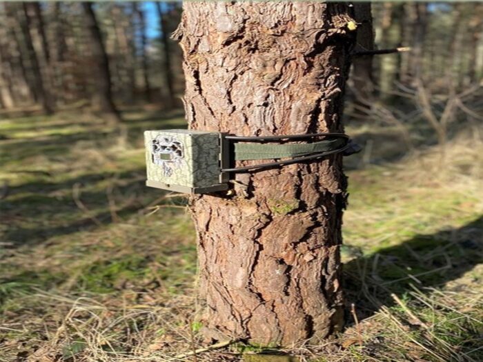 liczenie dzikiej zwierzyny, walka z asf w Polsce, RDLP Olsztyn, Adam Pietrzak, Patryk Kaczyński