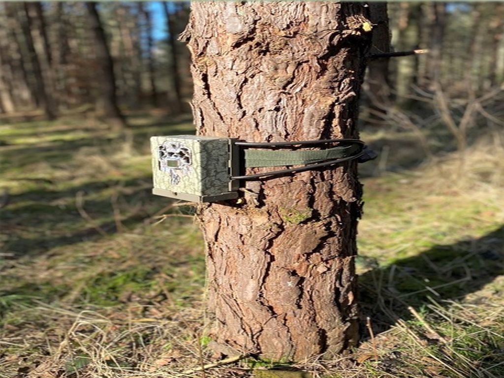 liczenie dzikiej zwierzyny, walka z asf w Polsce, RDLP Olsztyn, Adam Pietrzak, Patryk Kaczyński