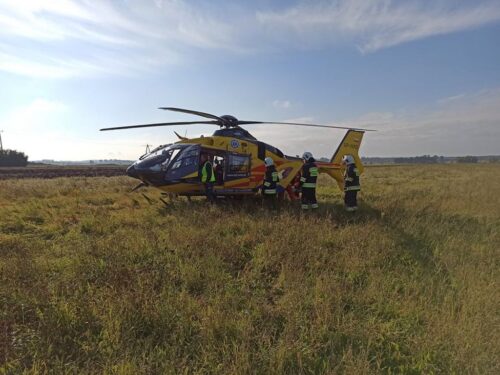 koszenie kukurydzy, Czernice, gmina Choszczno, Tomasz Lisiński