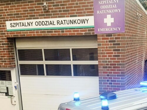 środki ochrony roślin, podrabiane środki ochrony roślin, dorohusk, insektycydy