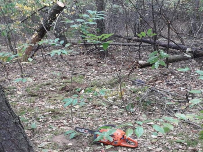 wycinka drzew, Tomasz Żerański, Czerwin, KMP Ostrołęka