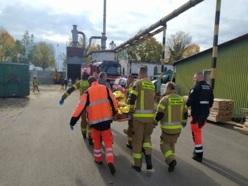 wypadek w tartaku, Słońsk, powiat sulęciński, wycinka drzew