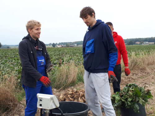 studenci WRiE, pole, buraki, Sahryń