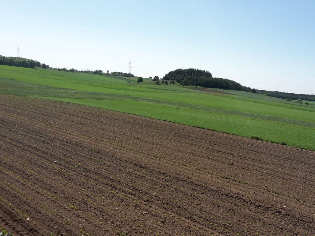 sprzedaż państwowej ziemi, Zasoby Własności Rolnej Skarbu Państwa, dzierżawa ziemi