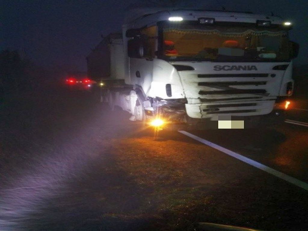 byki na drodze, Jankowice, gmina Nowe Miasto nad Pilicą, KPP Grójec