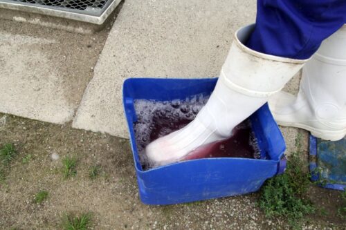 asf, bioasekuracja, inwestycje ASF, wirus ASF, dezynfekcja, silos, magazyn na słomę, modernizacja chlewni, hodowcy świń