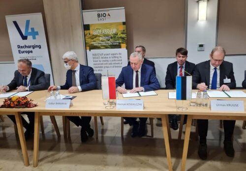 Henryk Kowalczyk, rynki rolne, sektor wieprzowiny, ceny nawozów