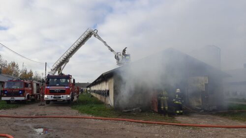 pożar kurnika, Cienin Zaborny, powiat słupecki, Mariusz Pawela