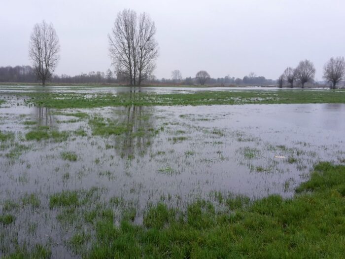 ochrona ekosystemów, parki narodowe, NFOŚiGW, Kampinoski Park Narodowy