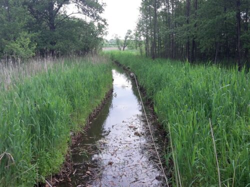 w gminie Gzy na Mazowszu melioracji poddano ponad 620 hektarów ziem.