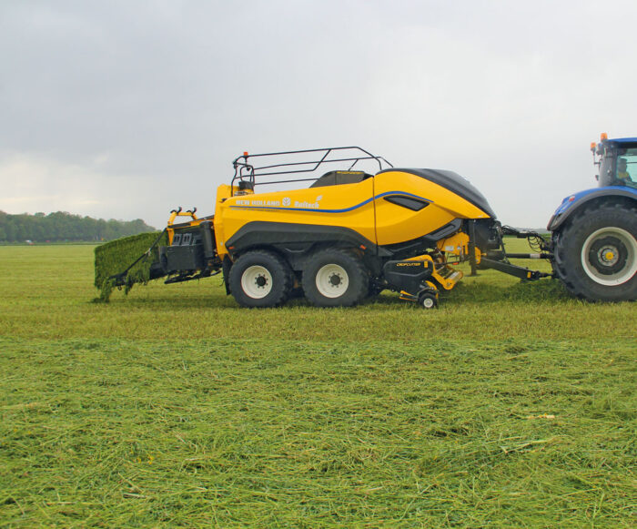 zbiory zbóż, eksport zbóż, import zbóż, zboża, pszenica, kukurydza, żyto