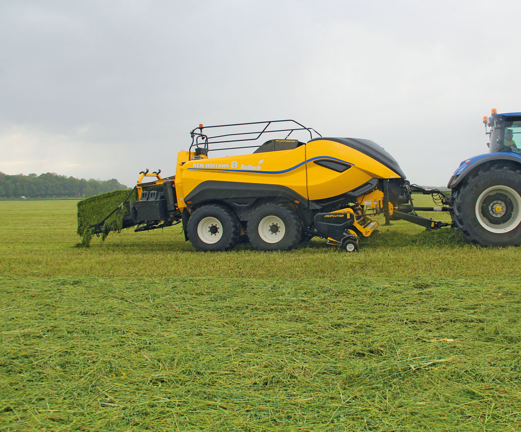 zbiory zbóż, eksport zbóż, import zbóż, zboża, pszenica, kukurydza, żyto