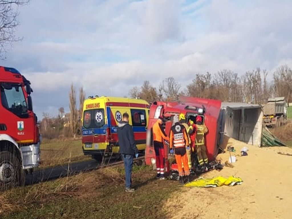 transport pasz, Iława, droga powiatowa Działdowo-Gródki, KPP Iława