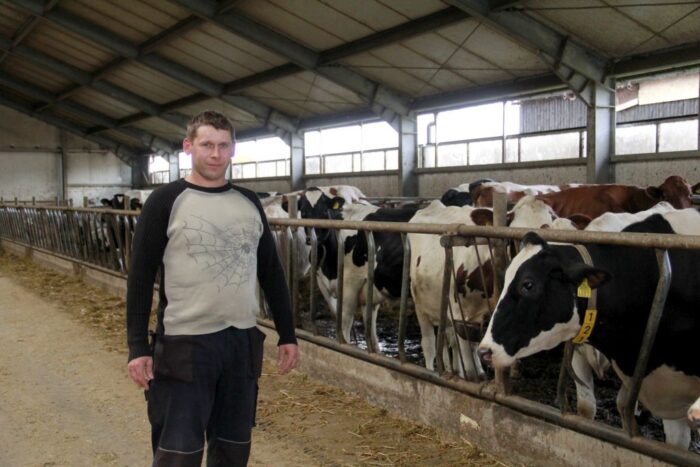 produkcja mleka, krowy, mleczne, wóz paszowy Kuhn, hala udojowa GEA,