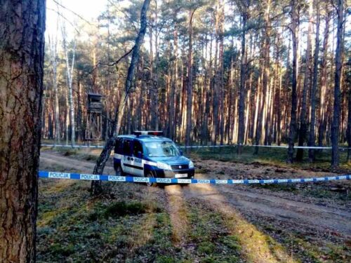 policja, las, wypadek