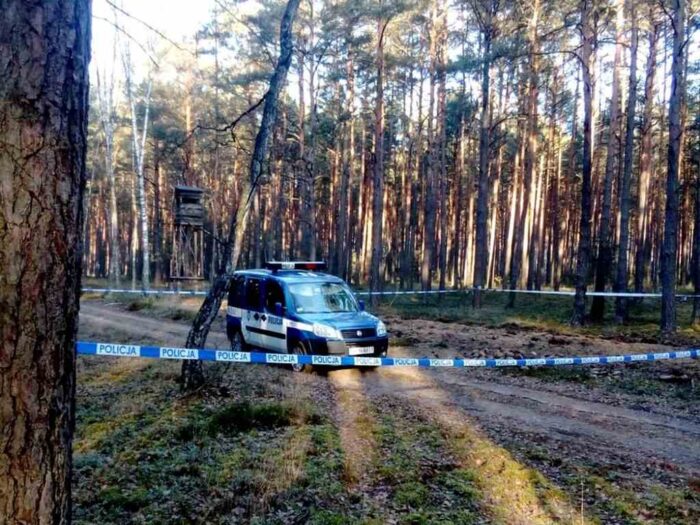 policja, las, wypadek