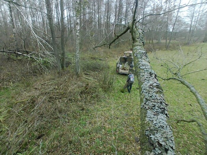 złodzieje w lasach, kradzież drewna, Adam Pietrzak, Nadleśnictwo Ciechanów, Nadleśnictwo Spychowo