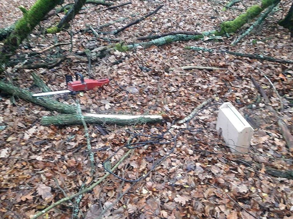 złodzieje w lasach, kradzież drewna, Adam Pietrzak, Nadleśnictwo Ciechanów, Nadleśnictwo Spychowo