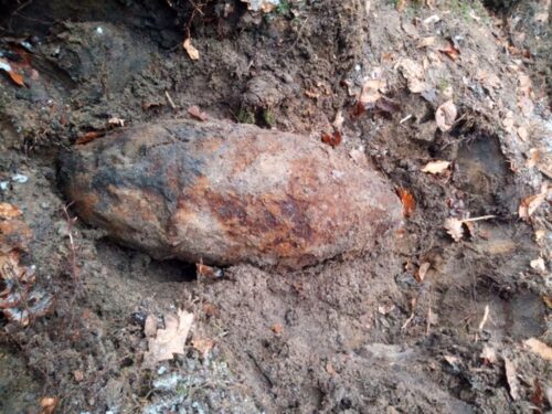 wycinka drzew, bomba lotnicza, Blizna, powiat ropczycko-sędziszowsk