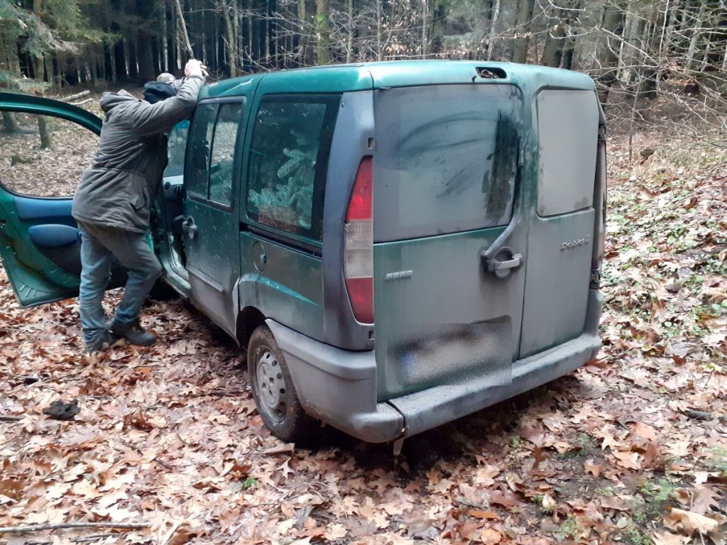 złodzieje w lasach, kradzież choinek i stroiszu, straż leśna, Poręba Radlna, leśnictwa Chociński Młyn i Kokoszka
