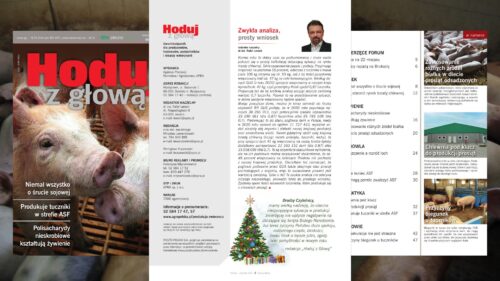 Hoduj z Głową Świnie, trzoda chlewna, maciory, lochy, prosięta, warchlaki, tuczniki, żywiec wieprzowy, chlewnia