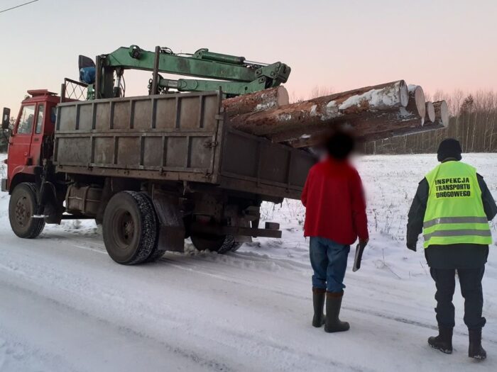 transport drewna, transport paszy dla zwierząt, Mostowo, inspekcja transportu drogowego
