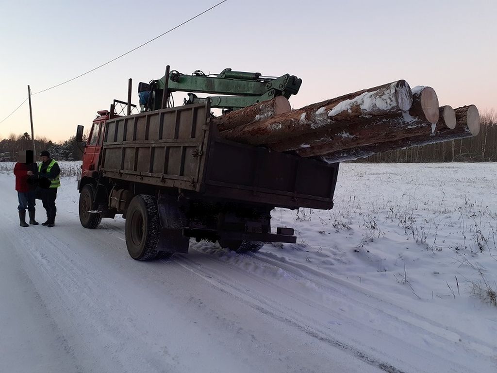transport drewna, transport paszy dla zwierząt, Mostowo, inspekcja transportu drogowego