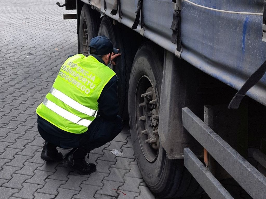 transport drewna, transport paszy dla zwierząt, Mostowo, inspekcja transportu drogowego
