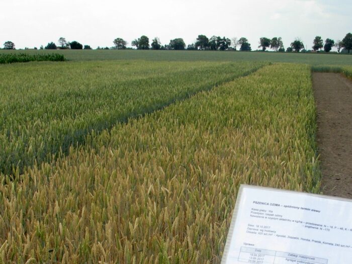 kontrole arimr, KRIR, ministerstwo rolnictwa, kontrole wzajemnej zgodności