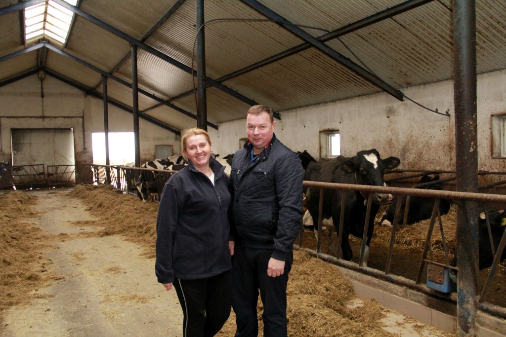 robot udojowy, automatyczny dój, bydło mleczne, Lely, produkcja mleka