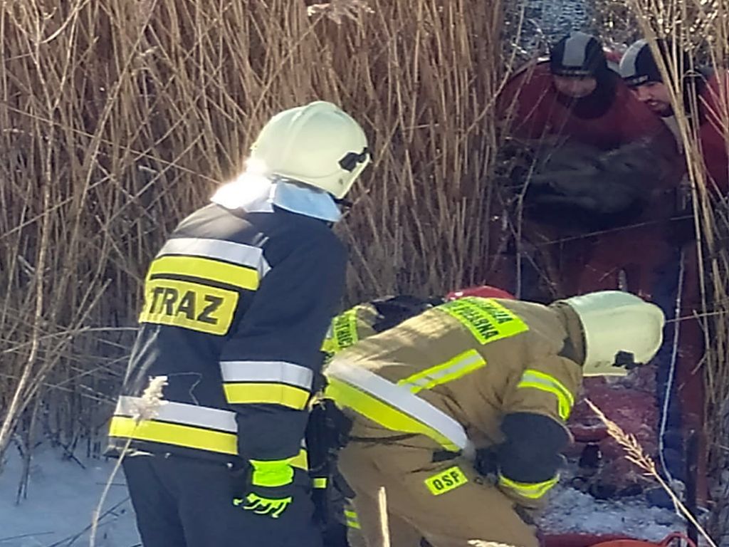 zwierzęta uwięzione w lodzie, jezioro Kisajno, Martwa Wisła, rzeka Ropa