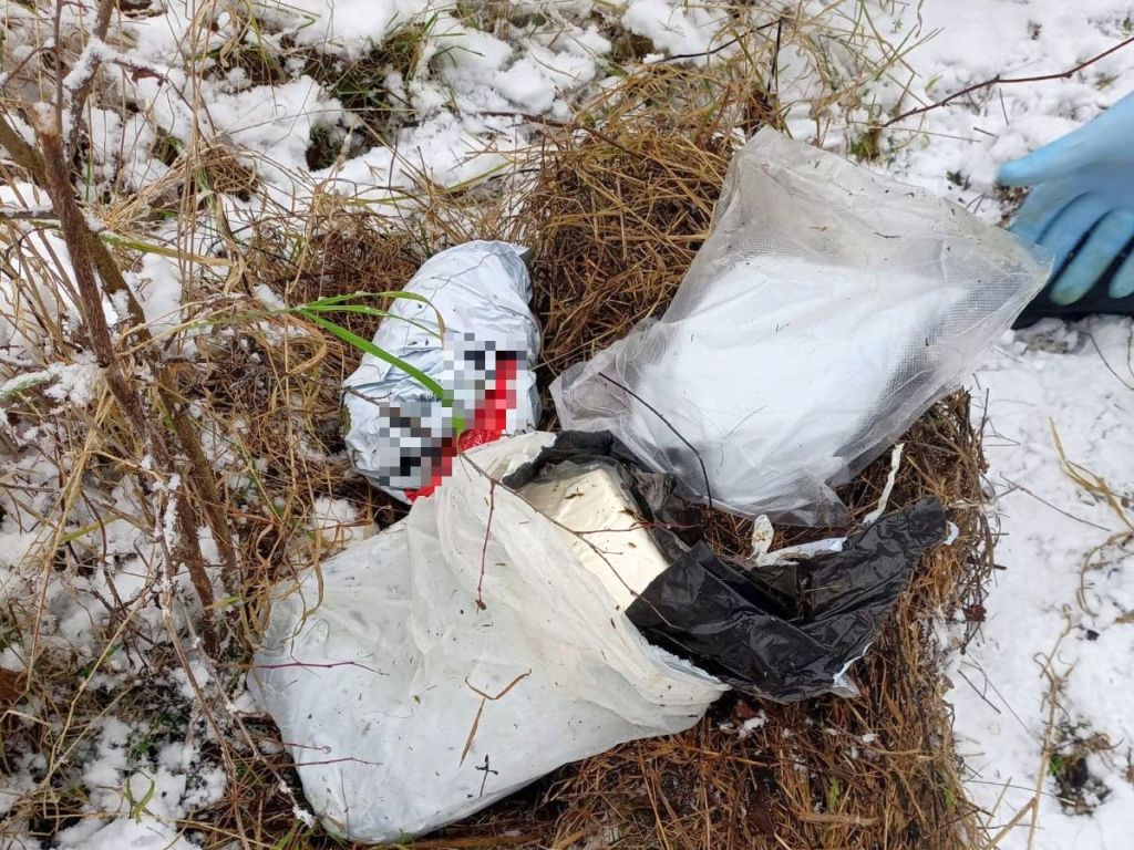 narkotyki w sadzie, Busko-Zdrój, Tomasz Piwowarski