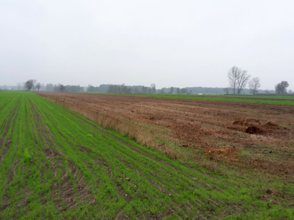 obornik, pryzma, załadunek