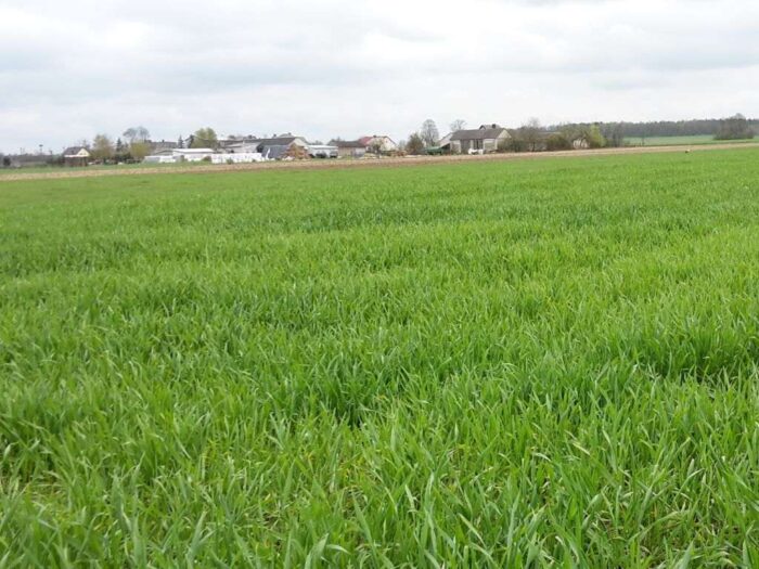 ziemia, nieruchomość rolna, działka