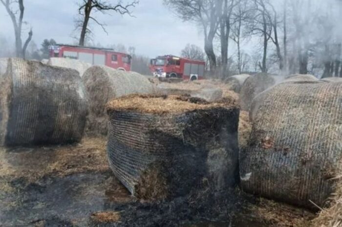 nastoletni podpalacz, Dąbek, powiat mławski, Anna Pawłowska