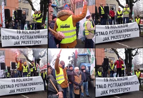 Janusz Terka, producenci świń, Piotrków Trybunalski, urzędowi lekarze weterynarii, proukratura, świadectwo zdrowia