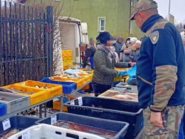 Radziejów, kontrola targowisk, sprzedaż ryb i choinek, kłusownictwo