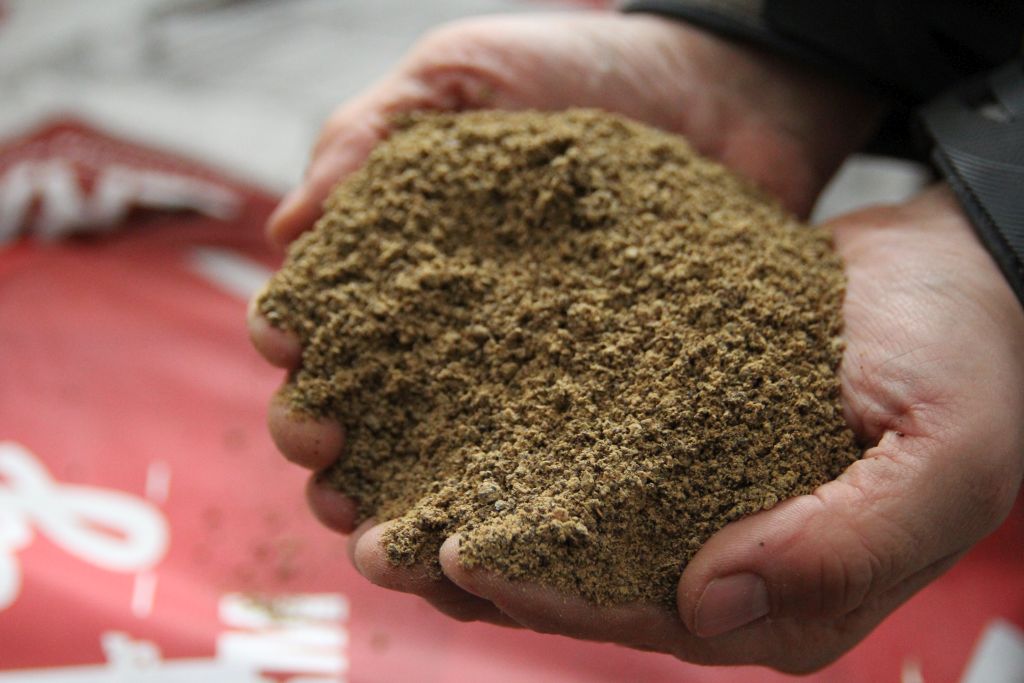 Blattin Polska, śruta rzepakowa, pasze rzepakowe, trzoda chlewna, świinie, żywienie świń, Tomasz Schwarz, pasza dla świń