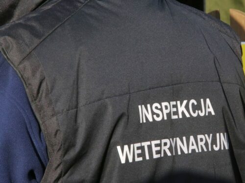 urzędowi lekarze weterynarii. MRiRW, Krajowa Izba Lekarsko-Weterynaryjna