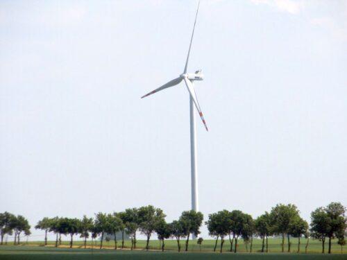 rekompensaty za straty na wiatrakach, elektrownie wiatrowe,  Ministerstwo Klimatu i Środowiska