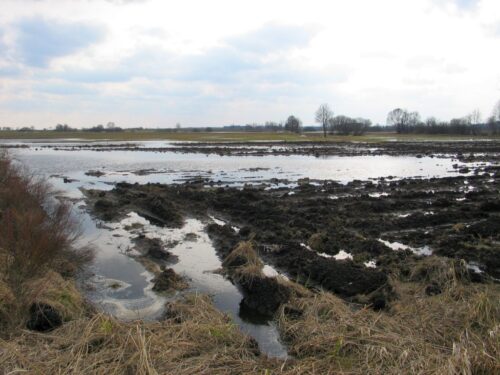 deszcze, zalania gruntów rolnych, odszkodowania dla rolników, zamiecie piaskowe