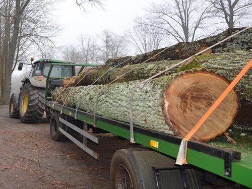 transport drewna, gmina Żyrzyn, Ewa Rejn-Kozak, KPP w Puławach