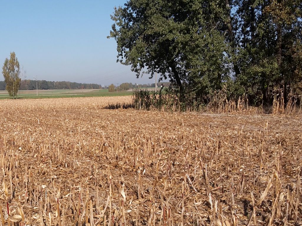 zadrzewienia śródpolne, Plan Strategiczny na lata 2023-2027, PROW 2014-2020