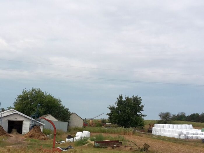 gospodarstwa rolne, powierzchnia użytków rolnych