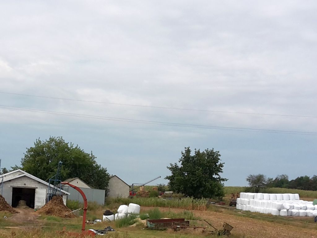 gospodarstwa rolne, powierzchnia użytków rolnych