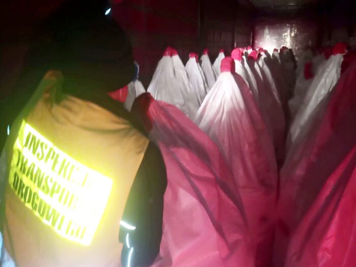 transport nawozów, przejście graniczne w Cieszynie, WITD Katowice